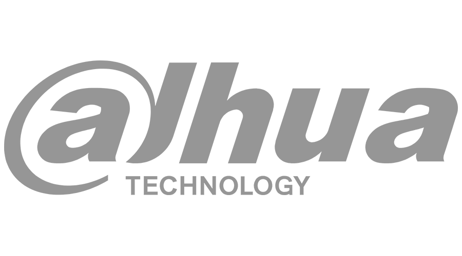 dahua